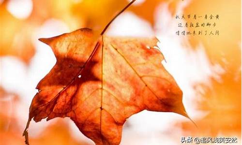 描写秋天的优美句子短句_描写秋天的优美句